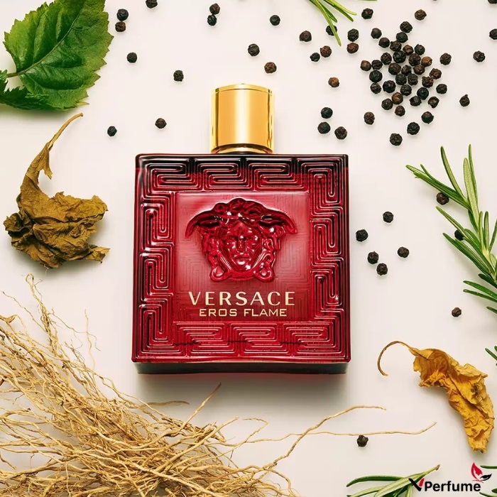 Giá nước hoa Versace Eros và những dung tích phổ biến