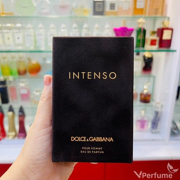Nước Hoa Nam D&G Pour Homme Intenso EDP Chính Hãng, Giá Tốt – Vperfume