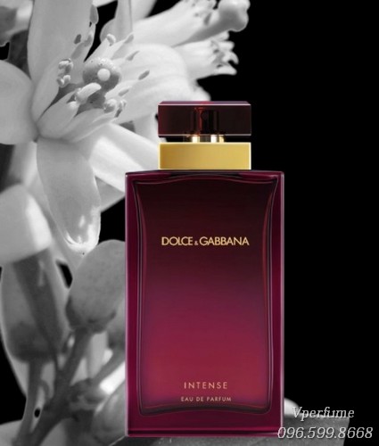 Nước Hoa Nữ D&G Pour Femme Intense EDP Chính Hãng, Giá Tốt – Vperfume