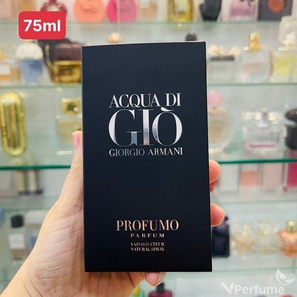 Nước Hoa Nam Acqua di Gio Profumo EDP (Giò đen) Chính Hãng, Giá Tốt –  Vperfume