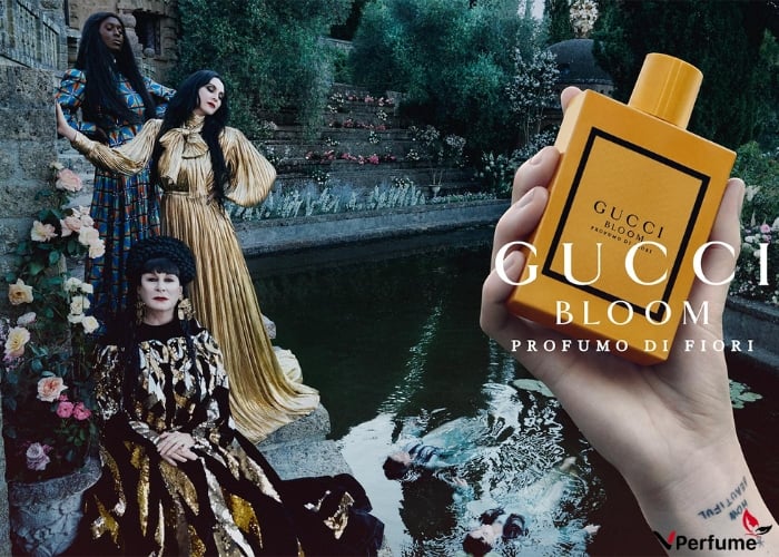 Giá nước hoa Gucci Bloom