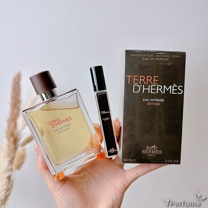 Mùi hương nước hoa Hermes Terre d'Hermès Eau Intense Véttiver