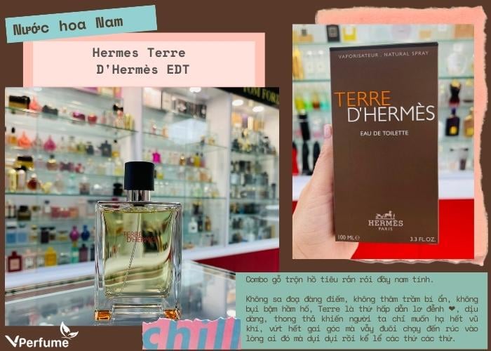 Nước hoa nam Terre D'Hermès EDT