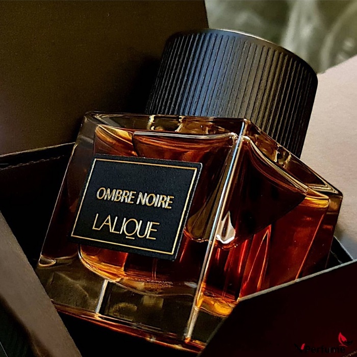 Nước hoa nam Lalique Ombre Noire
