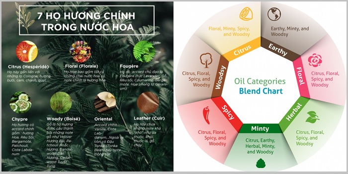 Những họ hương chính trong nước hoa