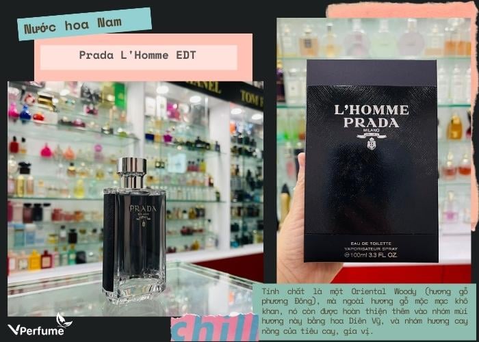 Mùi hương nước hoa Prada L'Homme EDT