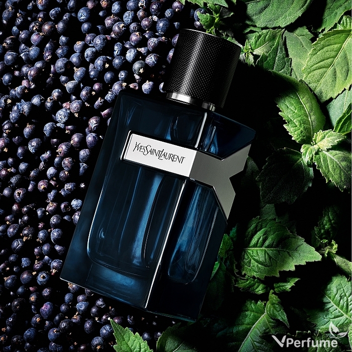 Mùi hương nước hoa Yves Saint Laurent Y EDP Intense