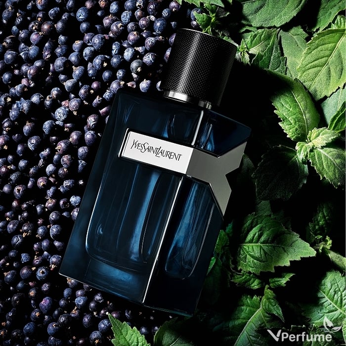 Những dòng nước hoa Yves Saint Laurent cho nam nổi bật nhất