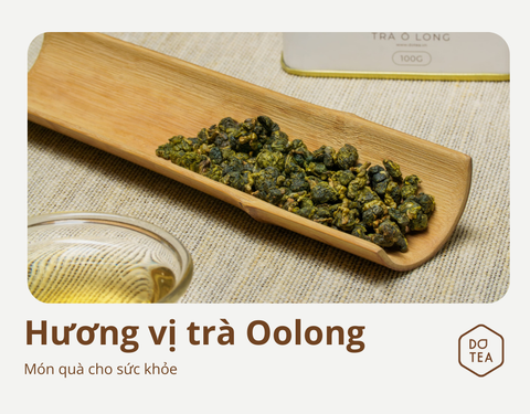 HƯƠNG VỊ Ô LONG - MÓN QUÀ CHO SỨC KHỎE