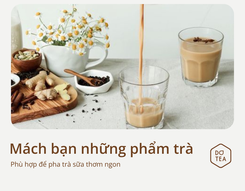 NHỮNG LOẠI TRÀ PHA TRÀ SỮA ĐẢM BẢO NGON CHO BẠN THAM KHẢO