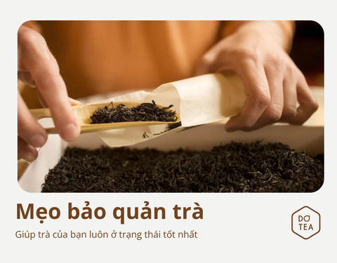 NHỮNG LƯU Ý ĐỂ BẢO QUẢN TRÀ ĐÚNG CÁCH