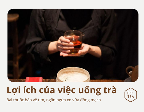UỐNG TRÀ – BÀI THUỐC GIÚP BẢO VỆ TIM, NGĂN NGỪA XƠ VỮA ĐỘNG MẠCH