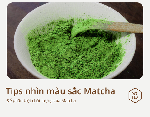 TIPS PHÂN BIỆT CHẤT LƯỢNG MATCHA QUA MÀU SẮC CỰC CHUẨN