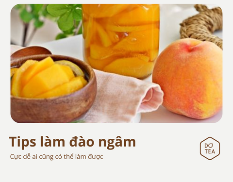 TIPS CÁCH LÀM ĐÀO NGÂM GIÒN TAN AI CŨNG LÀM ĐƯỢC NGAY