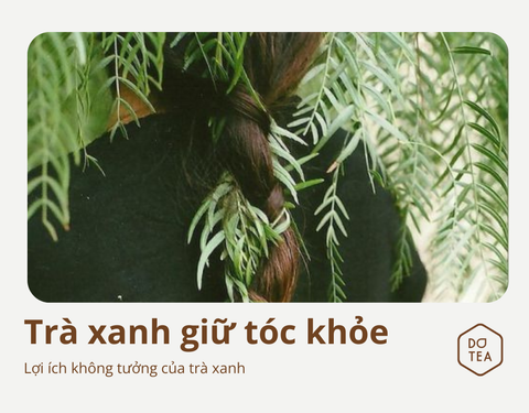 GIỮ TÓC MƯỢT MÀ CHẮC KHỎE CÙNG TRÀ XANH