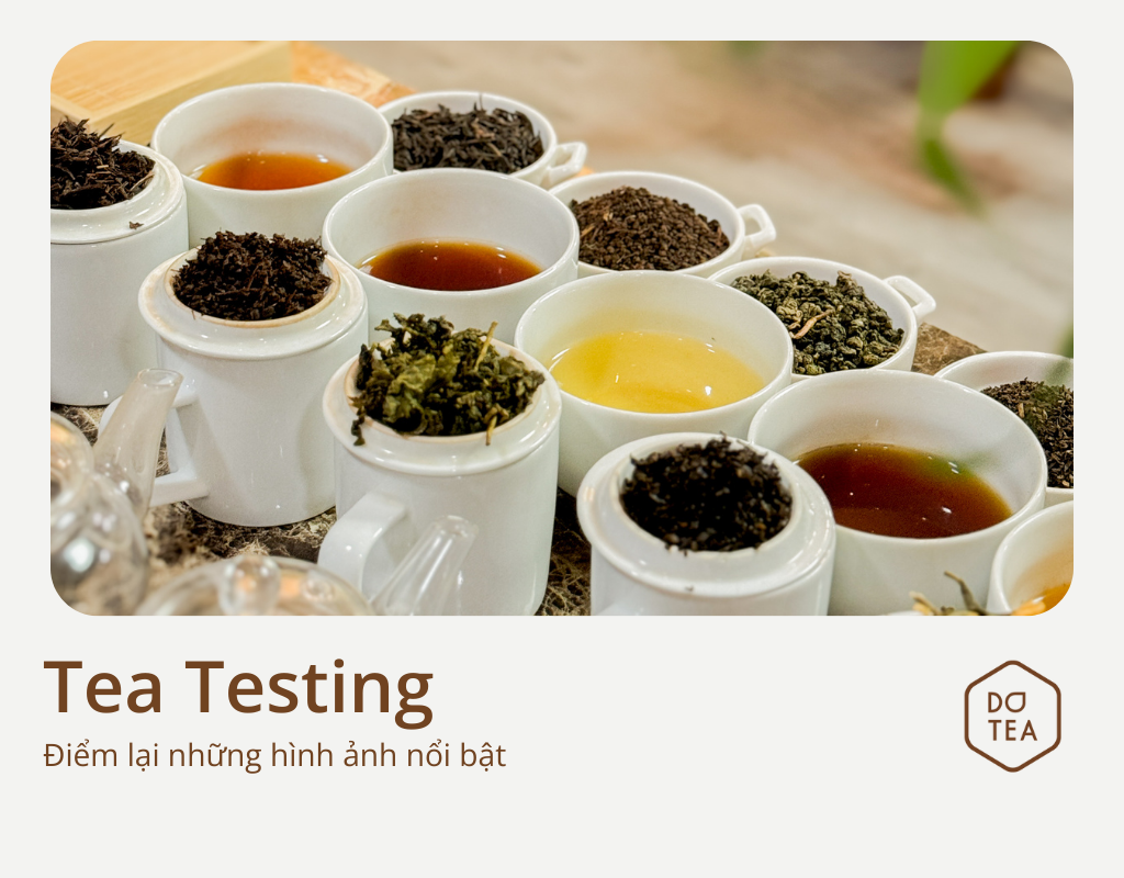 [BÌNH DƯƠNG] KHÁCH HÀNG HÀO HỨNG THỬ TRÀ DOTEA TẠI ĐẠI LÝ NGUYÊN LIỆU ...