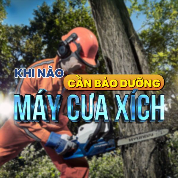 Máy cưa xích cần vệ sinh, bảo dưỡng khi nào?