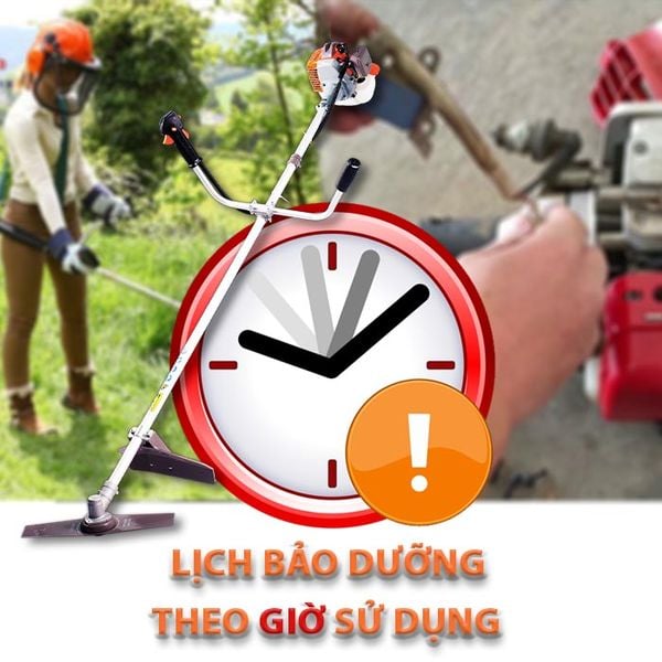 lịch bảo dưỡng máy cắt cỏ