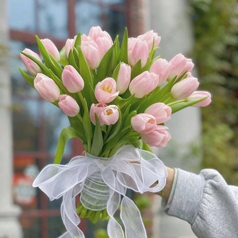 BÓ HOA CƯỚI HOA TULIP 032 – Ở ĐÂY CÓ HOA LẠ, ĐẸP VÀ DỄ THƯƠNG