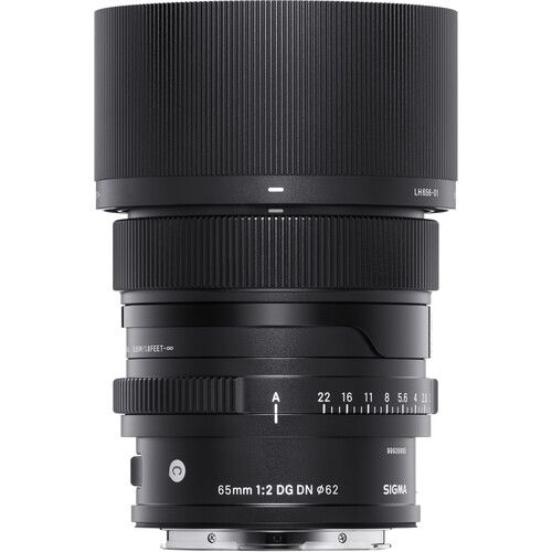 sigma 65mm f2 dg dn l mount