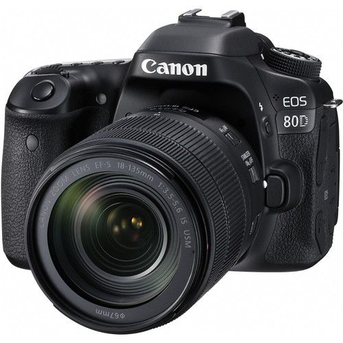 canon 80d elgato cam link