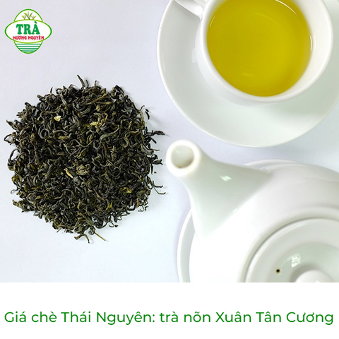 Giá chè Thái Nguyên: trà nõn Xuân Tân Cương