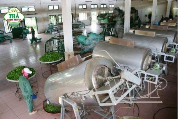 QUY TRÌNH SẢN XUẤT CHÈ SẠCH THÁI NGUYÊN – TRÀ HƯƠNG NGUYÊN ( TRÀ TÂN CƯƠNG THÁI NGUYÊN CHÍNH HIỆU )