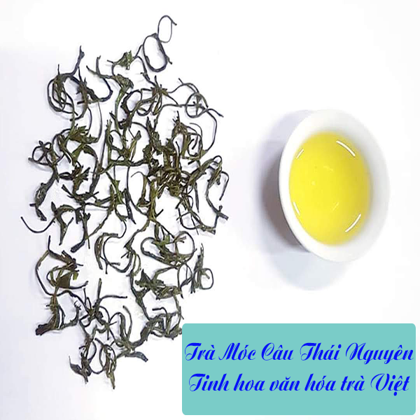 Trà móc câu Thái Nguyên - tinh hoa văn hoá trà Việt Nam