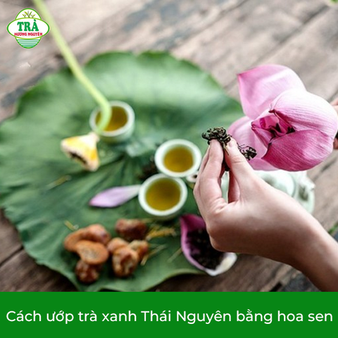 Cách ướp trà xanh thái nguyên với bông sen