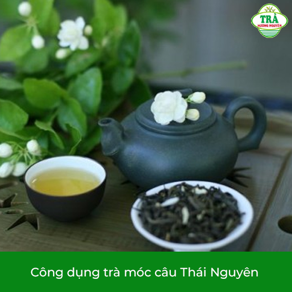 công dụng trà móc câu Thái Nguyên