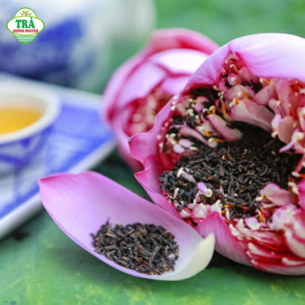 lưu ý chọn hoa sen để ướp trà xanh Thái Nguyên