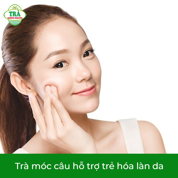 Trà móc câu hỗ trợ trẻ hóa làn da