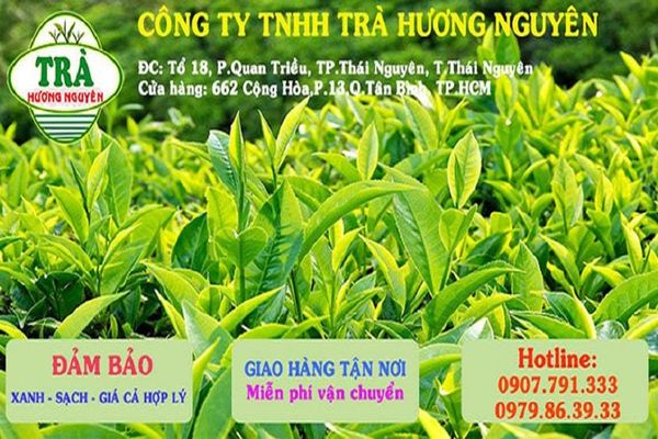 trà Thái Nguyên tại TP. Hồ Chí Minh