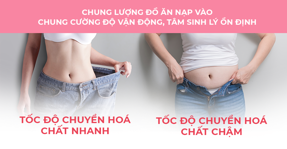 nguyên nhân thừa cân ở mọi lứa tuổi
