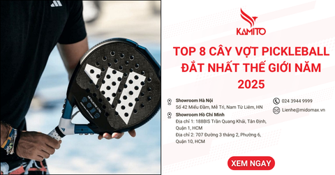 Top 8 cây vợt Pickleball đắt nhất thế giới năm 2025