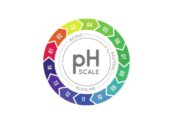 Cách Đo Kiểm Tra Độ pH Của Các Loại Nước Điện Giải Ion Kiềm Tại Nhà