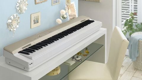 5 Bí Mật Thú Vị Về Cây Đàn Piano Casio Pravia PX-100
