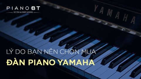 Lí do bạn nên chọn mua đàn Piano Yamaha