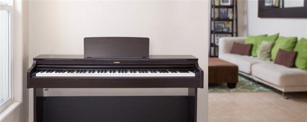 Đàn Piano nên phù hợp với kích thước