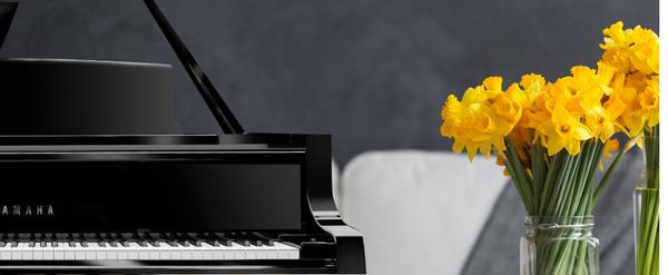 Đàn piano cũ Nhật Bản chất lượng