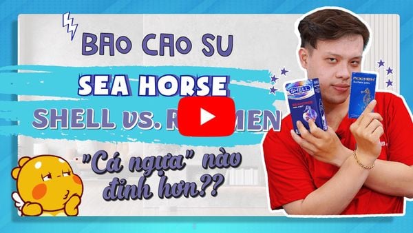 Review Bao cao su Rocmen Sea Horse vs Shell Sehorse loại nào tốt hơn?