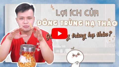 Đông Trùng Hạ Thảo có chức năng gì? Giá bao nhiêu? Mua ở đâu uy tín?