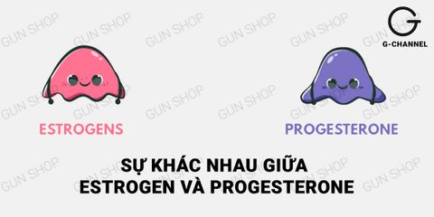 Sự khác nhau giữa Estrogen và Progesterone là gì? Đừng bỏ qua