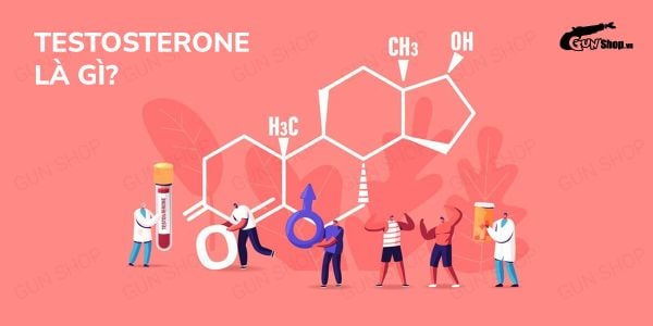 Testosterone là gì? Tác dụng của Testosterone đối với sức khỏe nam giới