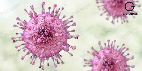 Virus Herpes là gì và có nguy hiểm không? Có chữa được không?