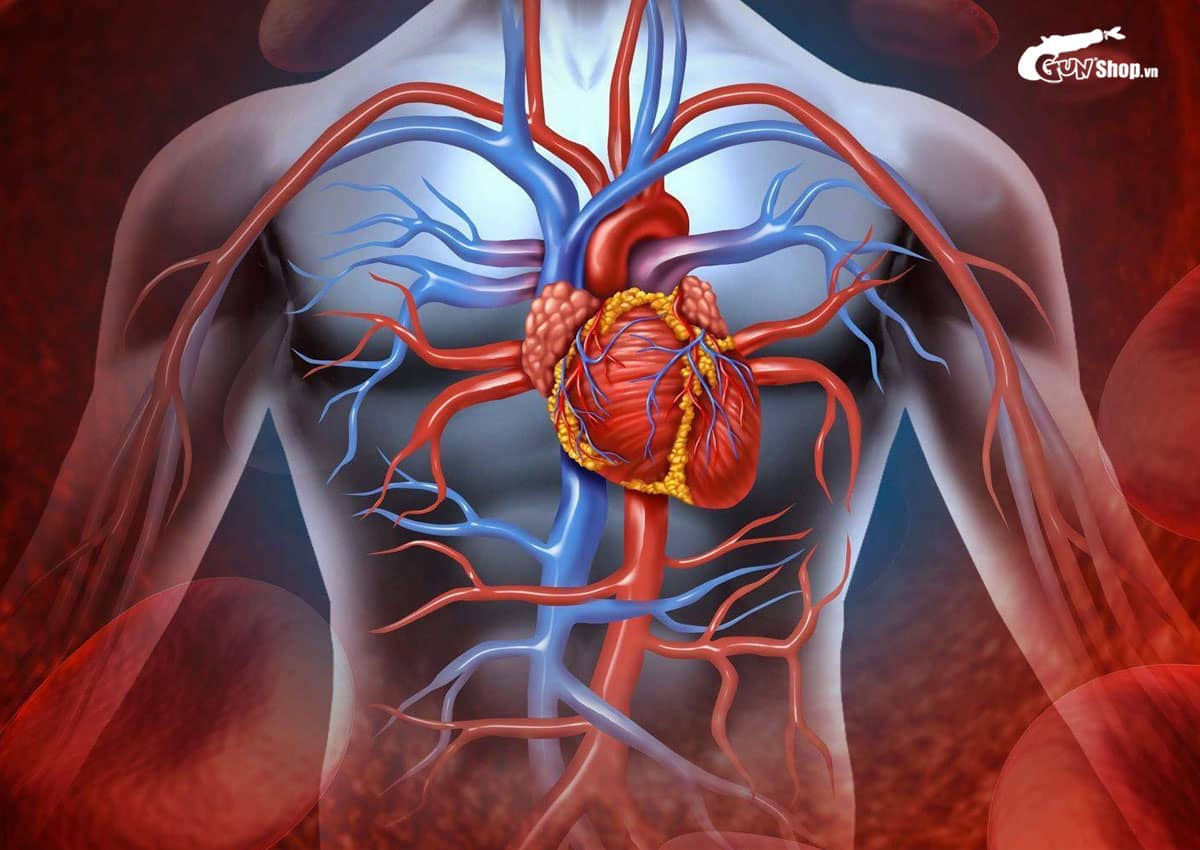 Ăn hàu có tác dụng gì cho nam giới?