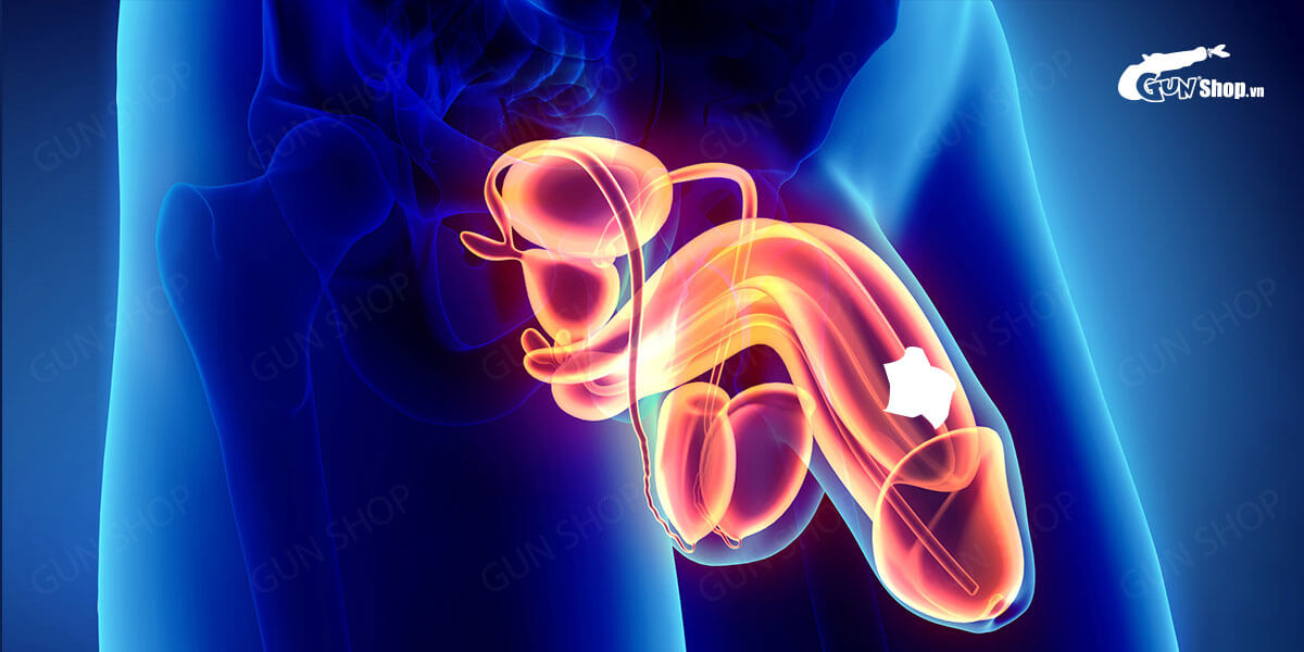 Cách điều trị ung thư dương vật theo từng giai đoạn của bệnh