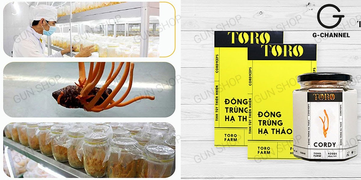 Cách dùng đông trùng hạ thảo