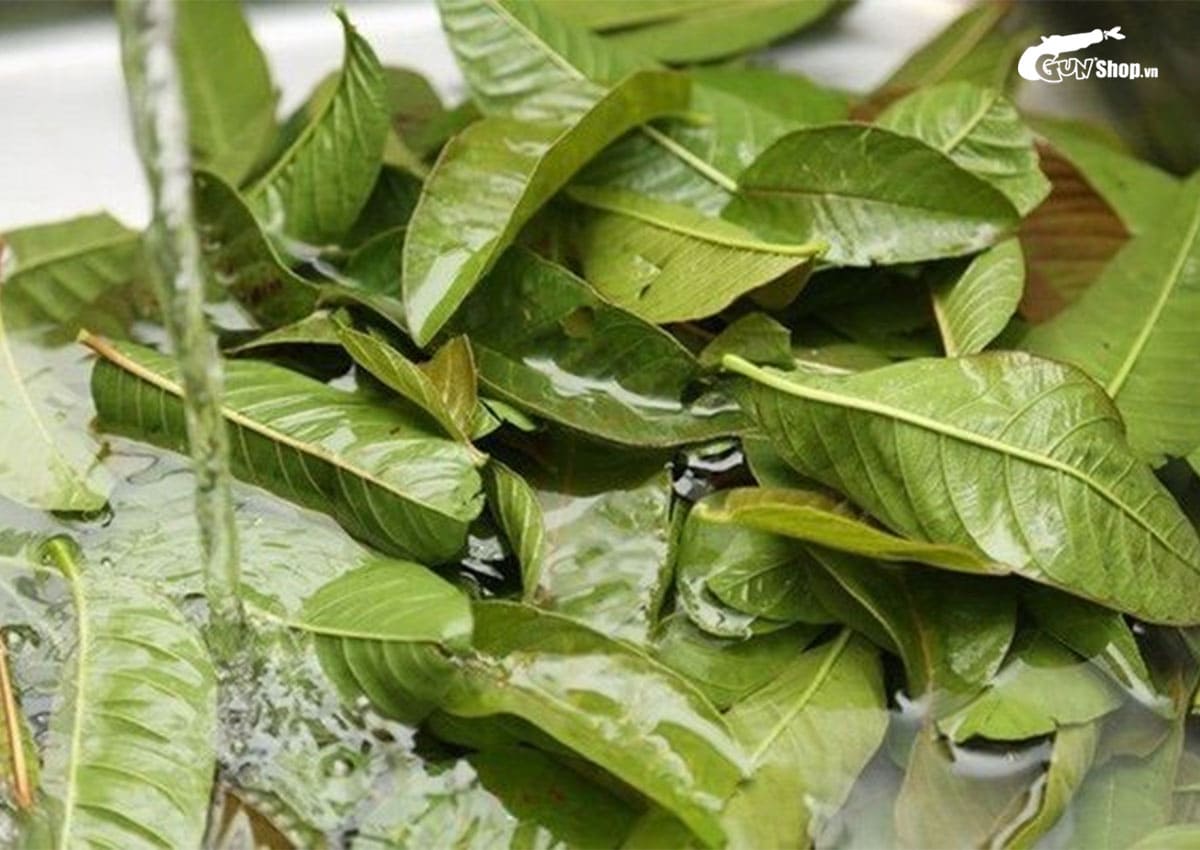 cách làm giảm ngứa vùng kín đơn giản