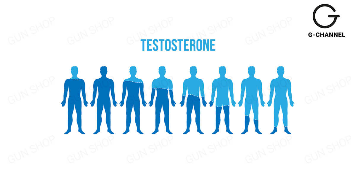 Cách làm giảm Testosterone ở nam để cân bằng sức khỏe nam giới